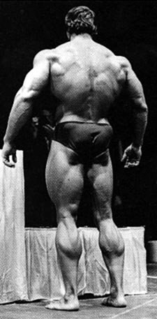 musculos-021.jpg