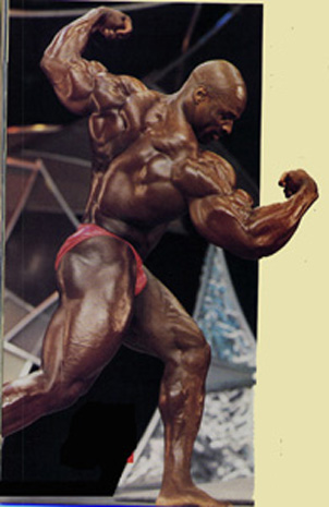musculos-023.jpg