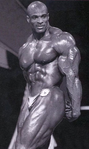 musculos-026.jpg