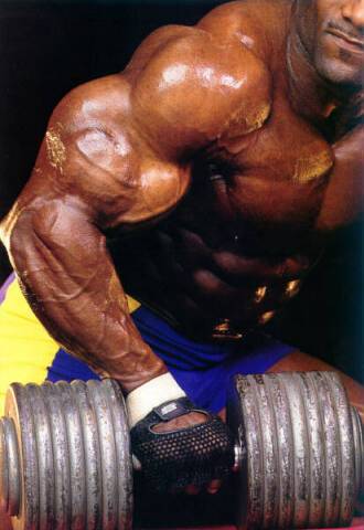 musculos-029.jpg