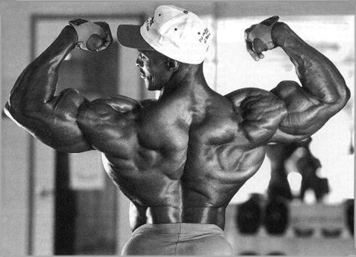 musculos-032.jpg
