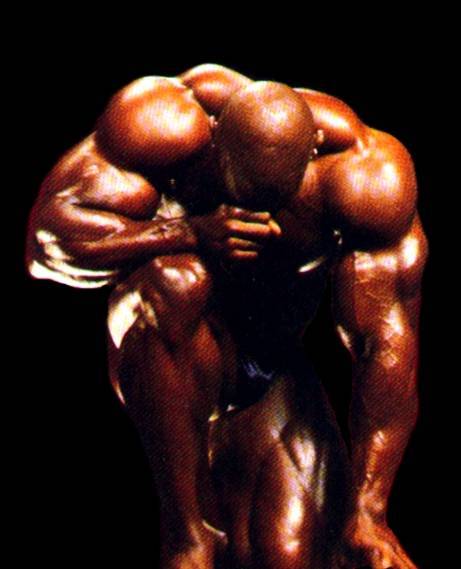 musculos-038.jpg