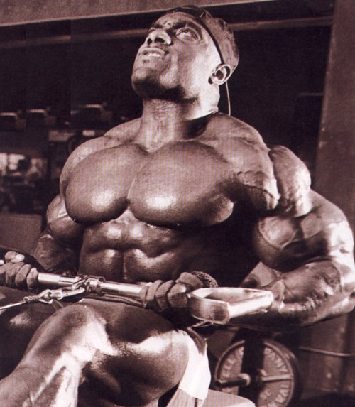 musculos-041.jpg