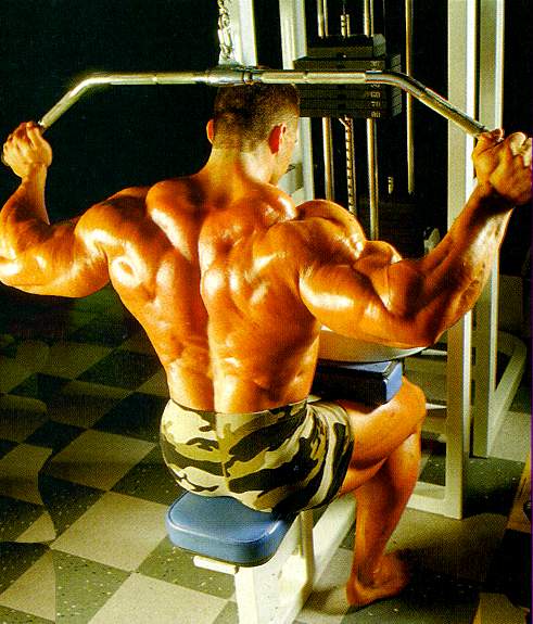 musculos-042.jpg