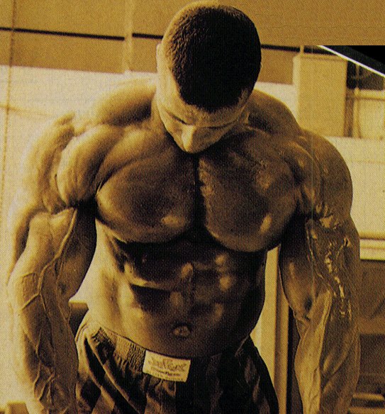 musculos-043.jpg