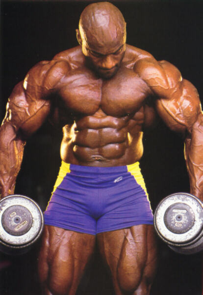 musculos-045.jpg