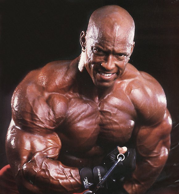 musculos-048.jpg