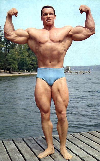 musculos-049.jpg