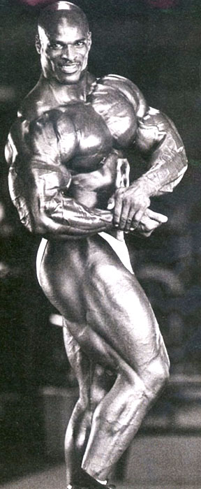 musculos-053.jpg