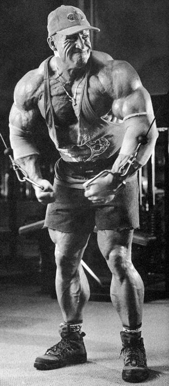 musculos-060.jpg