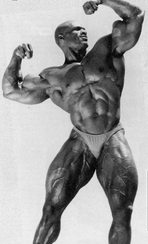 musculos-065.jpg
