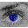 ojos-067.jpg