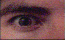 ojos-105.gif