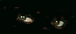ojos-122.gif