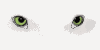 ojos-135.gif