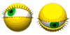ojos-137.gif