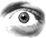 ojos-146.gif
