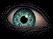 ojos-148.gif