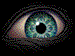 ojos-149.gif