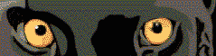 ojos-163.gif
