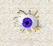 ojos-169.gif