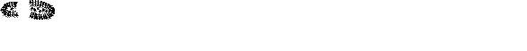 pies-huellas-001.gif