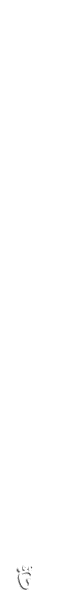 pies-huellas-021.gif