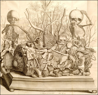 huesos-anatomia-para-artistas-017.jpg