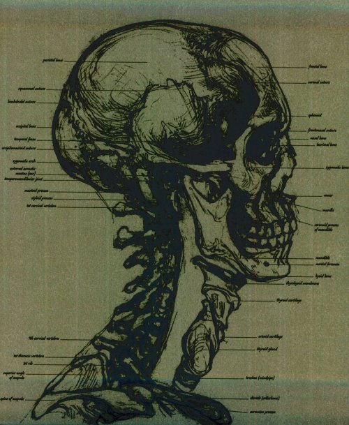 huesos-anatomia-para-artistas-053.jpg