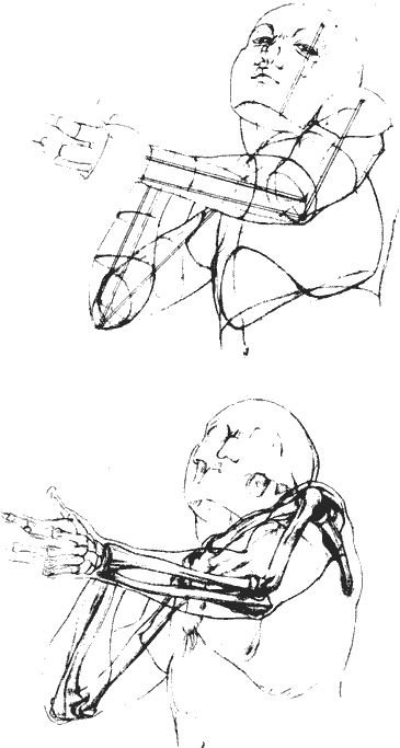 huesos-anatomia-para-artistas-058.gif