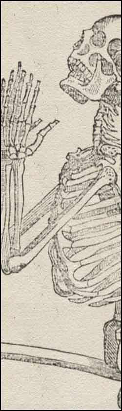 huesos-anatomia-para-artistas-065.jpg