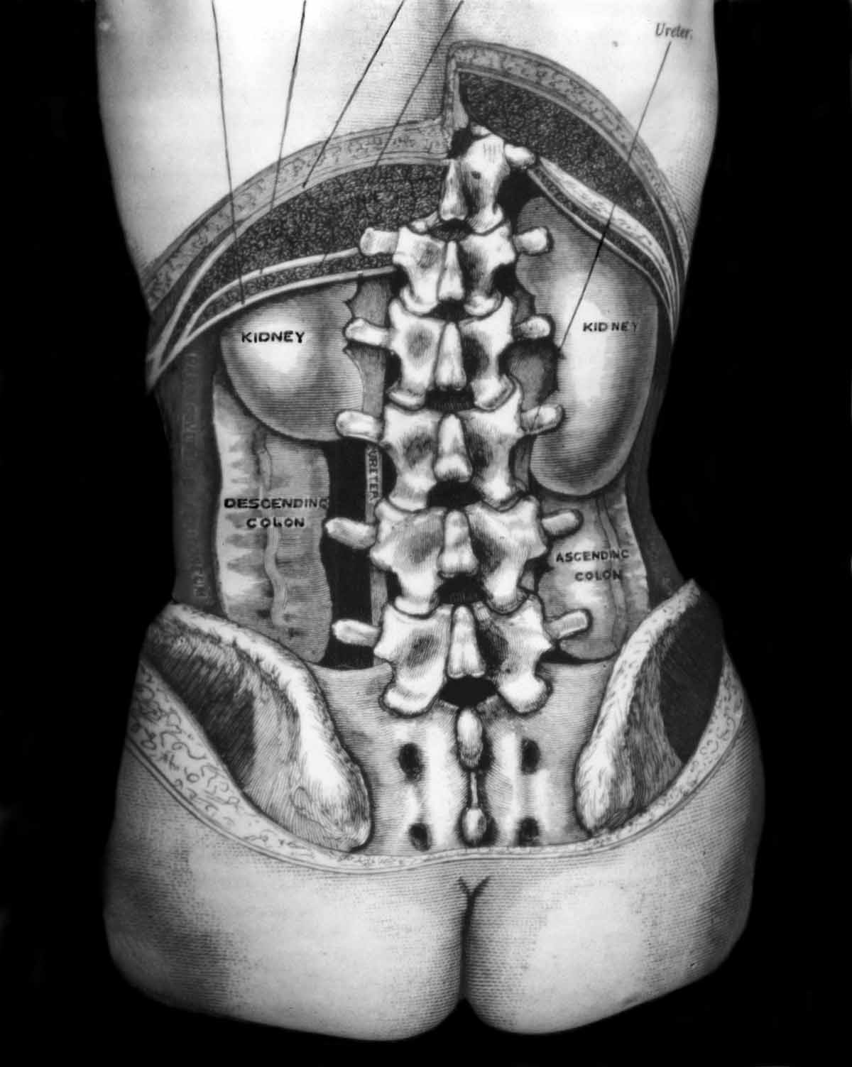 huesos-anatomia-para-artistas-070.jpg