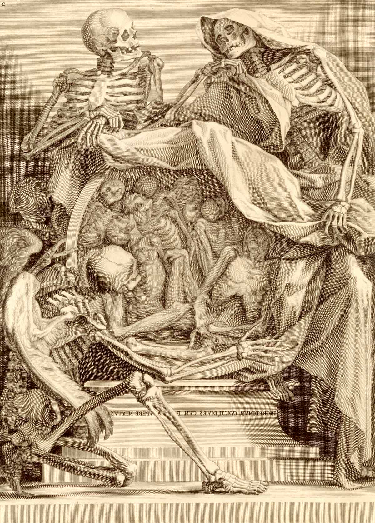 huesos-anatomia-para-artistas-074.jpg