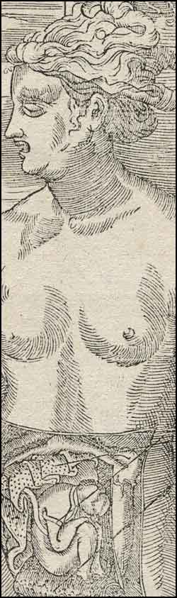 natalidad-anatomia-para-artistas-006.jpg