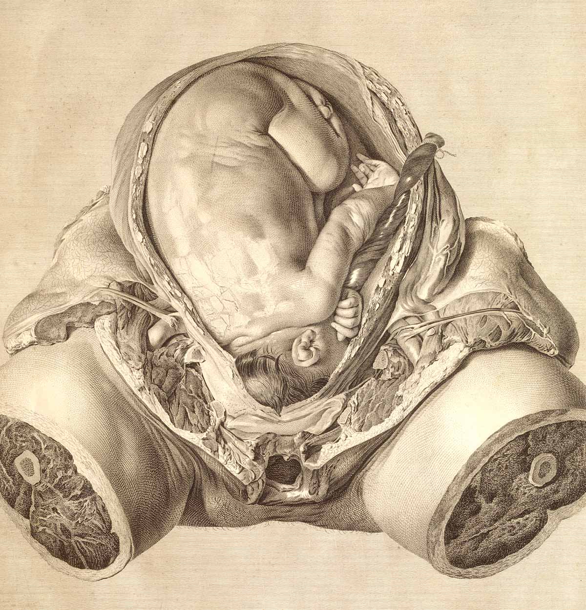 natalidad-anatomia-para-artistas-008.jpg