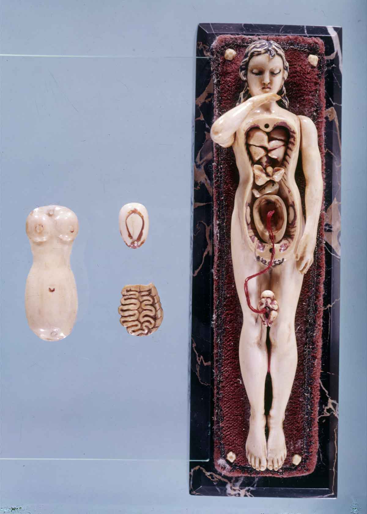 natalidad-anatomia-para-artistas-009.jpg