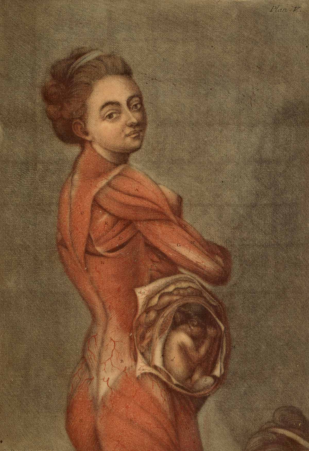 natalidad-anatomia-para-artistas-010.jpg
