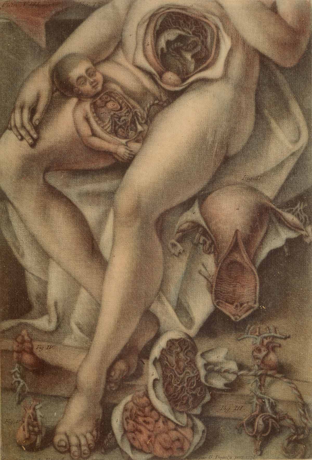 natalidad-anatomia-para-artistas-011.jpg