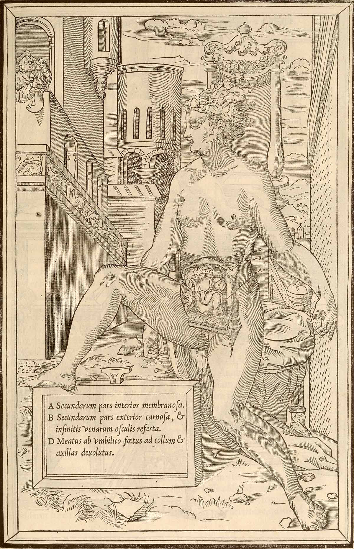 natalidad-anatomia-para-artistas-012.jpg