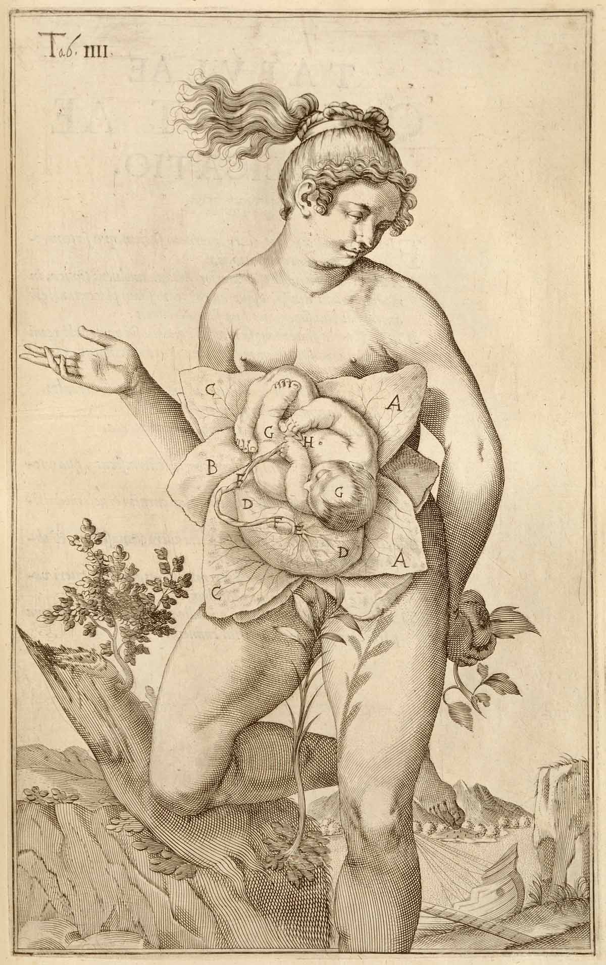 natalidad-anatomia-para-artistas-013.jpg