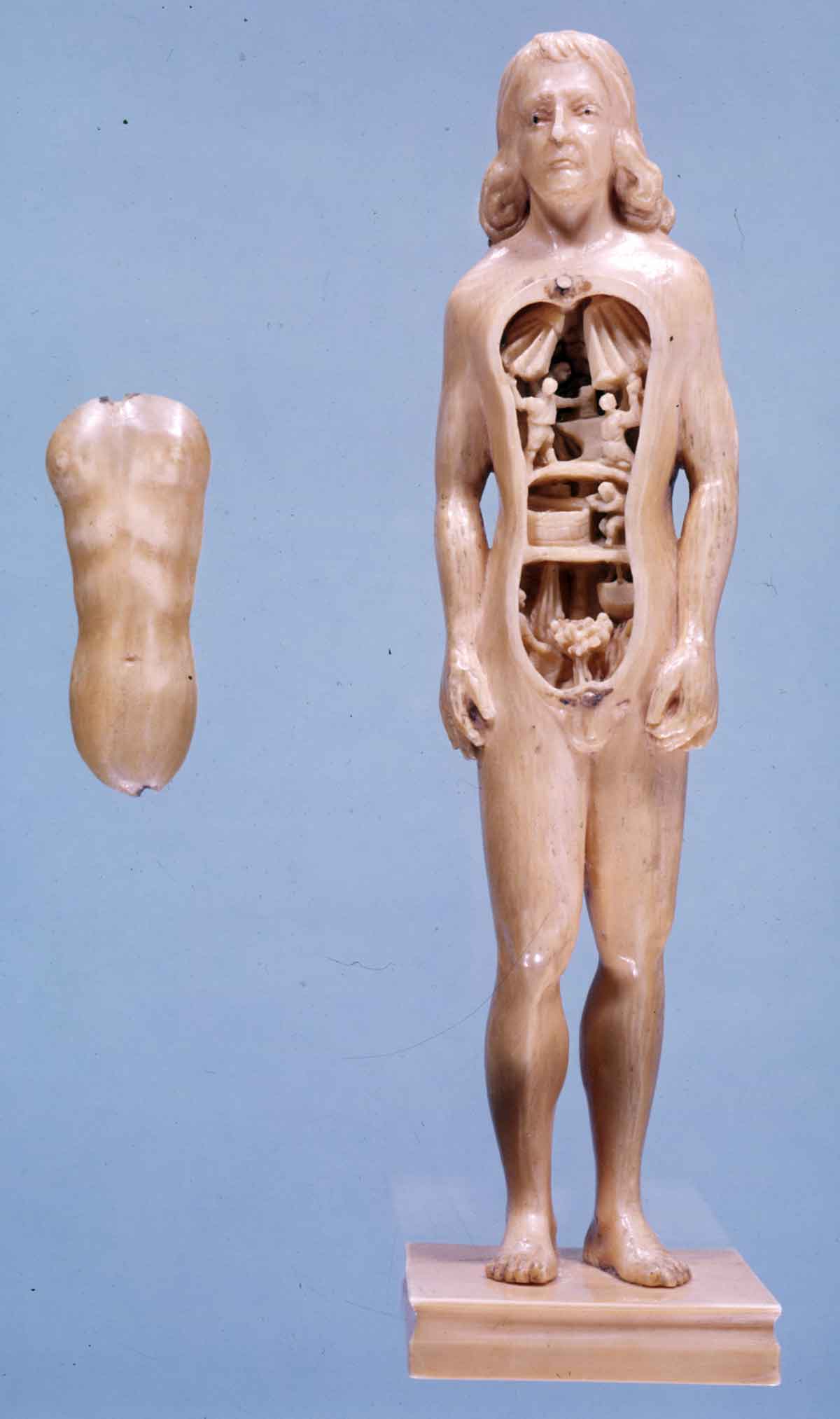 natalidad-anatomia-para-artistas-014.jpg