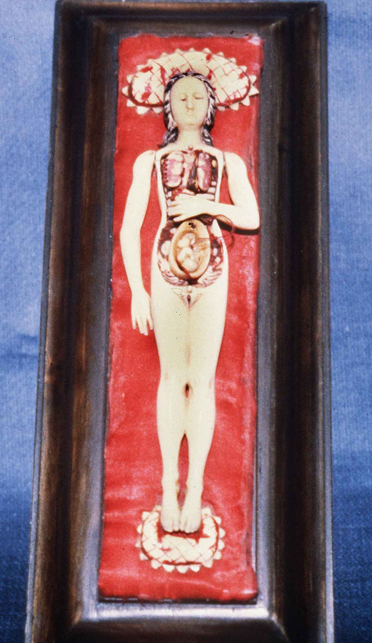 natalidad-anatomia-para-artistas-015.jpg