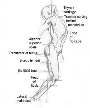 miscelanea-anatomia-para-artistas-005.jpg