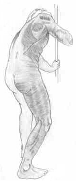 miscelanea-anatomia-para-artistas-006.jpg