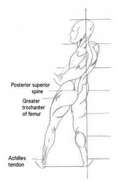 miscelanea-anatomia-para-artistas-007.jpg