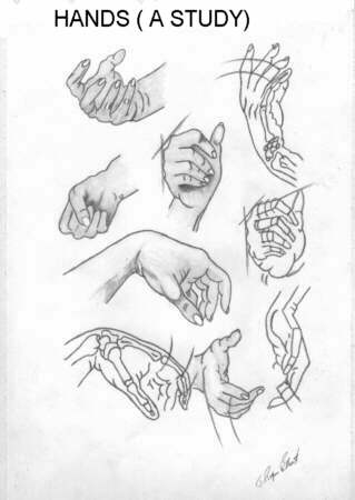 miscelanea-anatomia-para-artistas-009.jpg