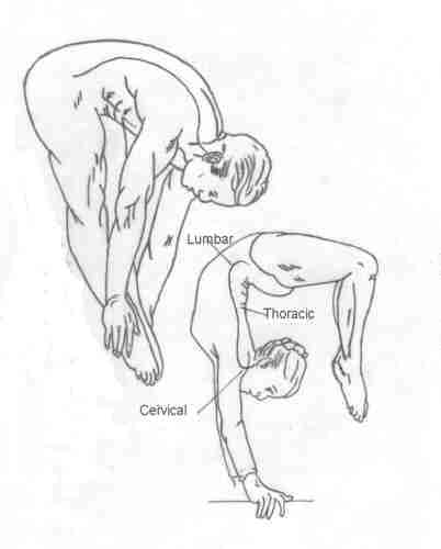 miscelanea-anatomia-para-artistas-012.jpg