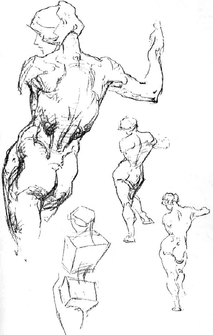 miscelanea-anatomia-para-artistas-028.jpg