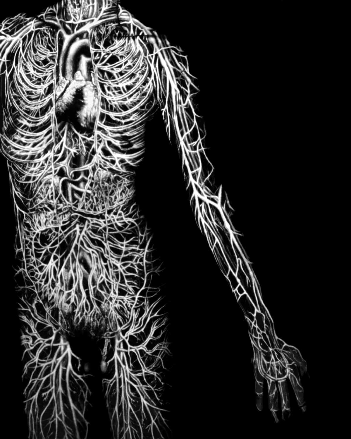 miscelanea-anatomia-para-artistas-032.jpg