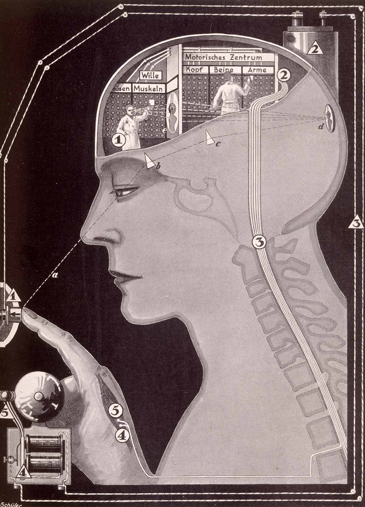 miscelanea-anatomia-para-artistas-037.jpg